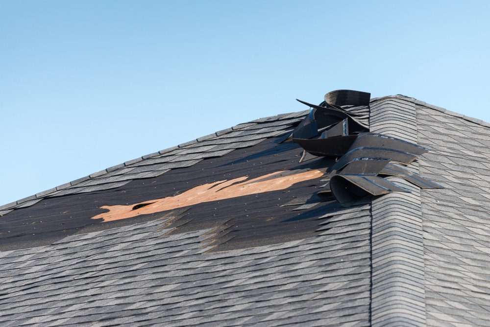 Damaged Roof Shingles