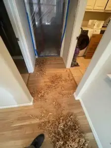Hardwood Floor Refinish - Process