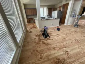 Hardwood Floor Refinish - Process