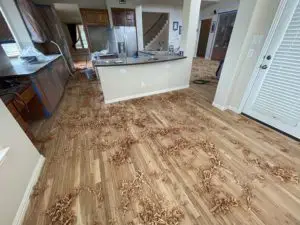 Hardwood Floor Refinish - Process