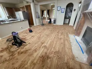 Hardwood Floor Refinish - Process