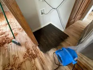 Hardwood Floor Refinish - Process