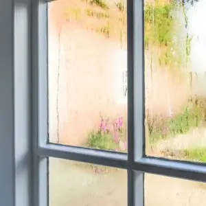 Window Moisture