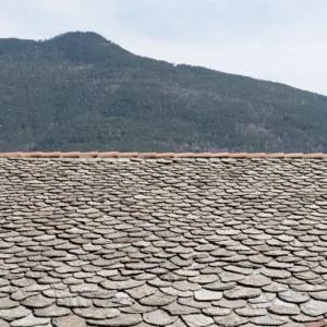 Slate Roofing on farmhouse home