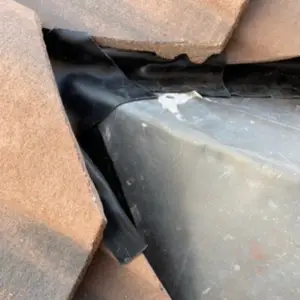 closing the gaps on this roof to prevent critters coming in