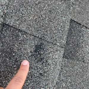 Huge wether disaster, SRR helped replace and repair their roof, gutters and exterior home