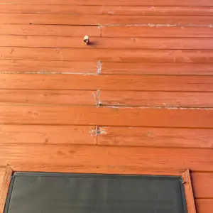 damaged siding on patio wall