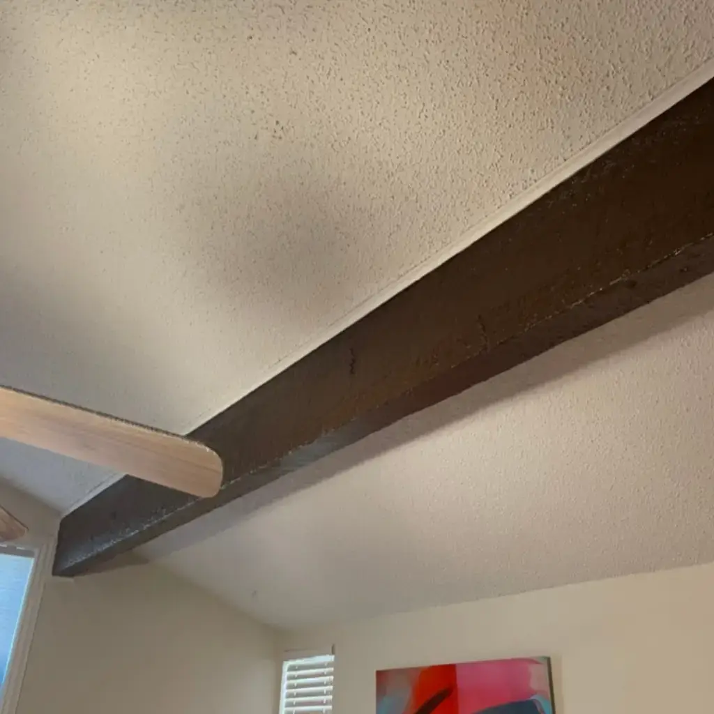 image of inside of home leak from roof