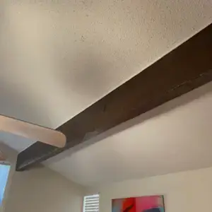 image of inside of home leak from roof