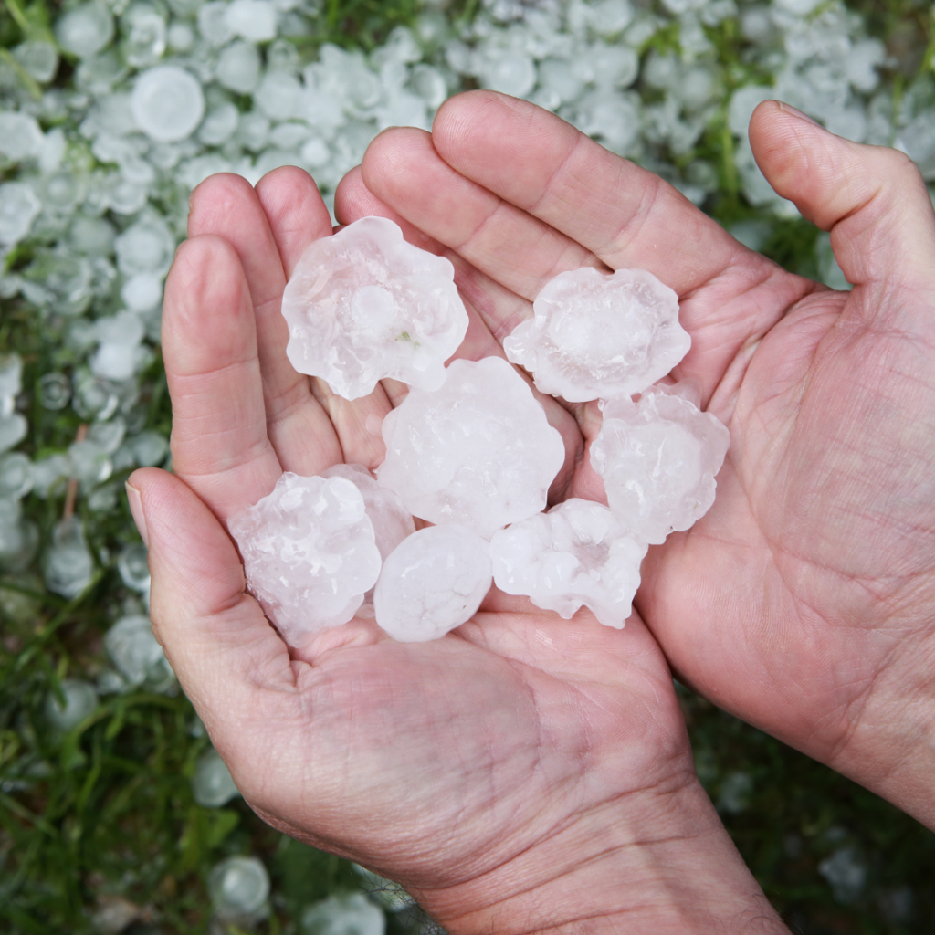 image of hands holding large hail from metal roof hail damage