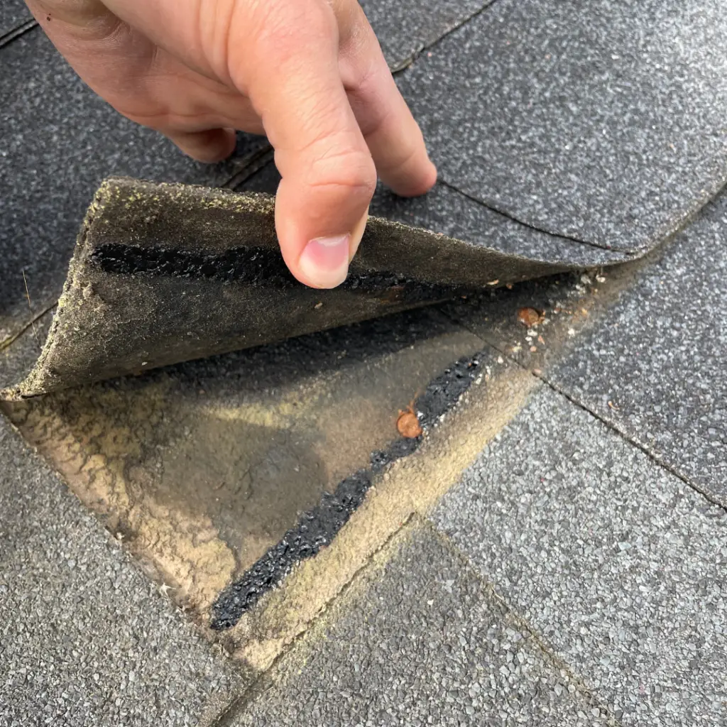 damage between shingles