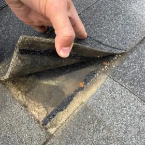 damage between shingles