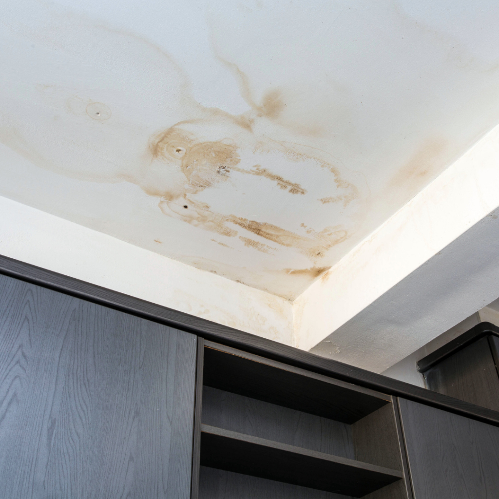 ceiling stains with water marks or mold