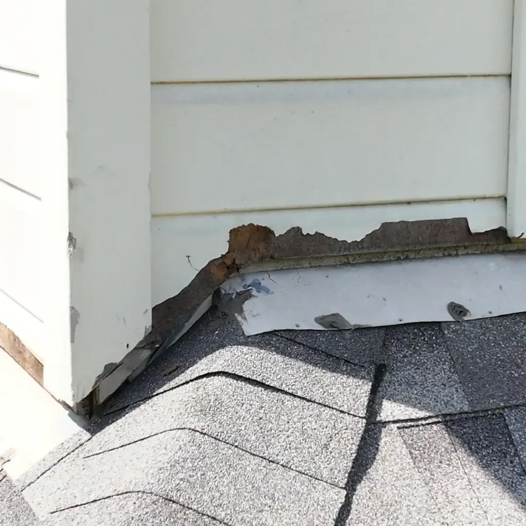 rodent was entering through the flashing