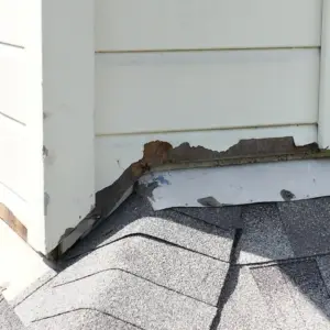 rodent was entering through the flashing