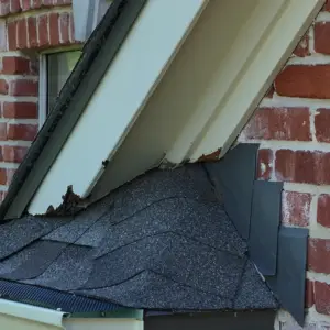 rodent was entering through the flashing