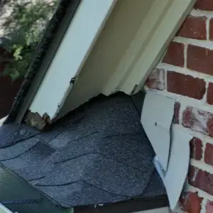 rodent was entering through the flashing