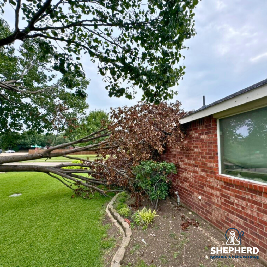 tree fell on home that causes emergency roof repair