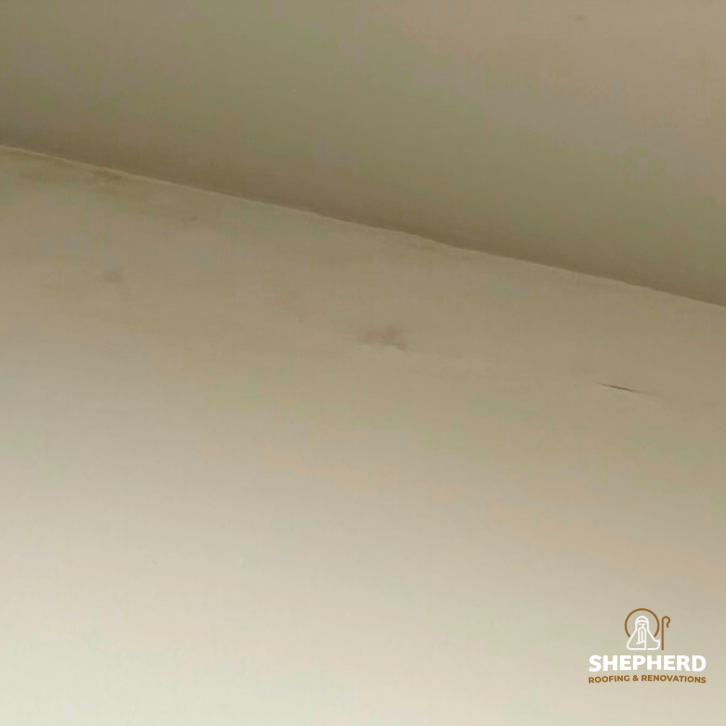 ceiling with rook leak stains