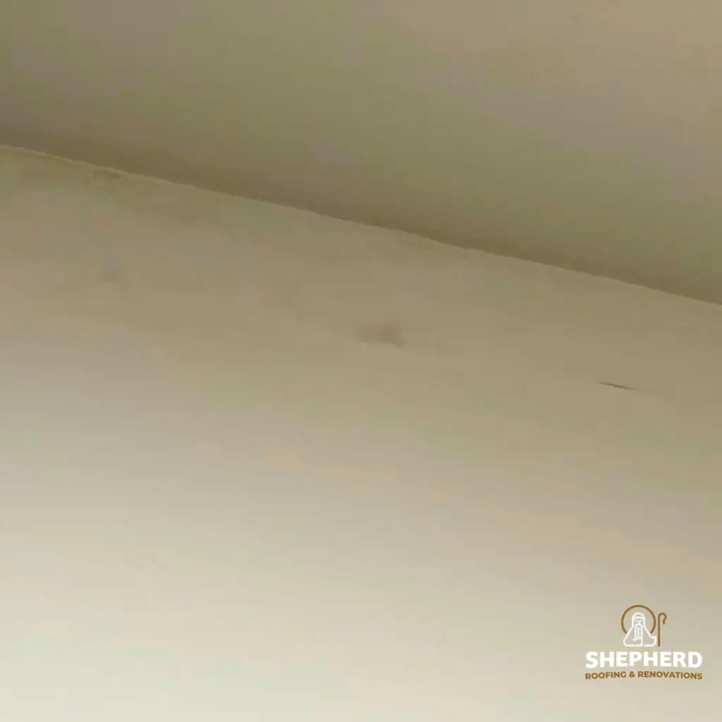 ceiling with rook leak stains
