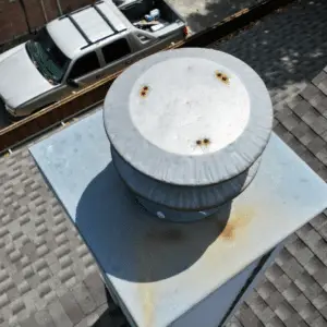roof replacement process