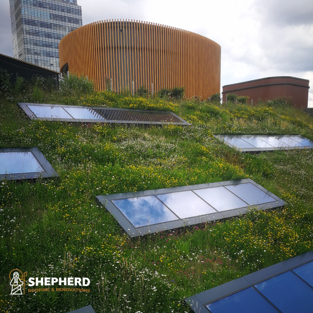 green roof in the city where there is no rural areas