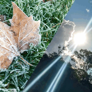 winter and spring weather